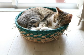 20170510014155457.jpg
